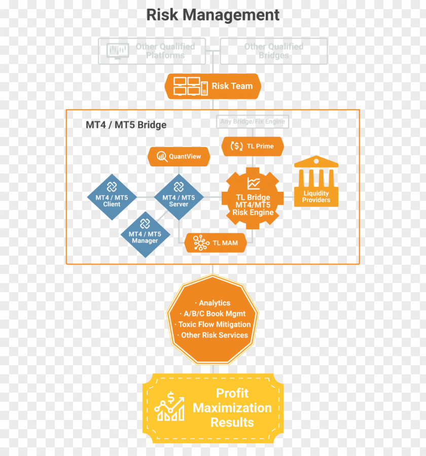 Risk Management Bridge Brand Organization Maximum Financial Investment Group Inc Logo PNG