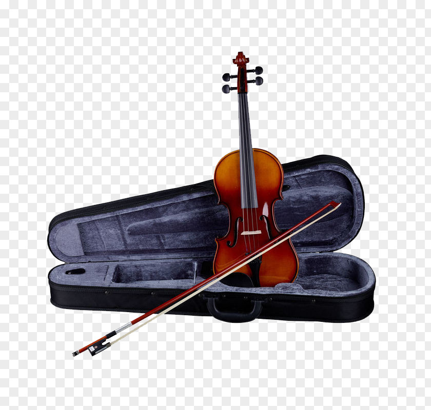 Violin Viola Cello Bow Musical Instruments PNG