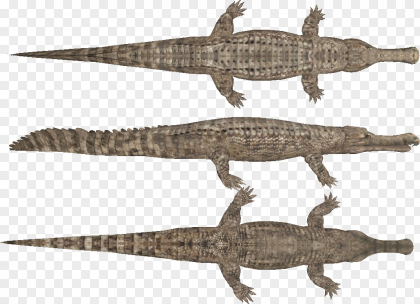 Crocodile Nile Sarcosuchus Ornithocheirus Pteranodon PNG