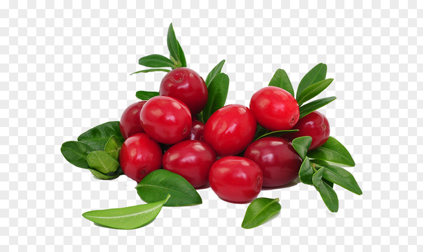 Juice Cranberry Food Dried Fruit PNG