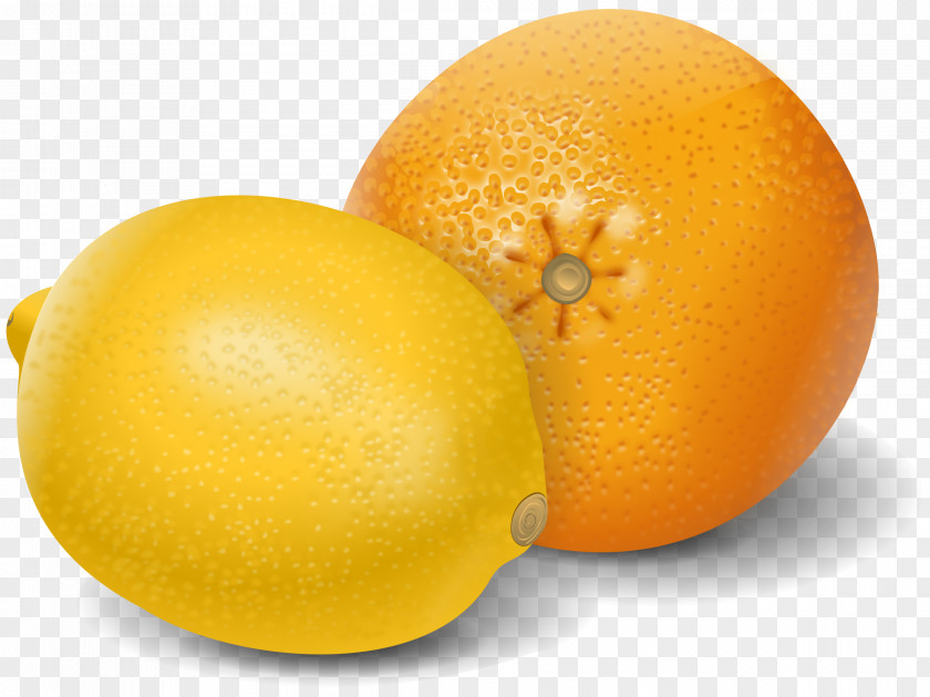 Lemon Orange Juice Mandarin Grapefruit PNG
