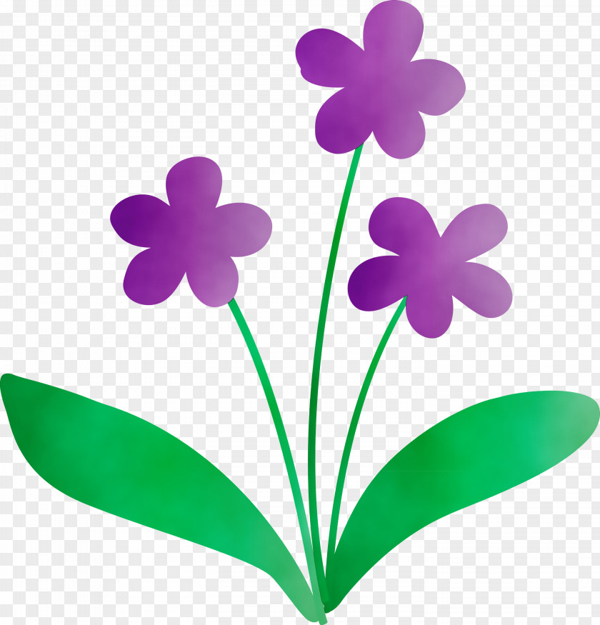 Plant Stem Flower Leaf Petal Herbaceous PNG