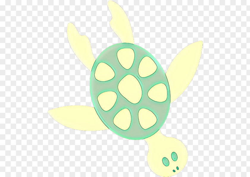 Turtle Clip Art Vector Graphics Image Illustration PNG