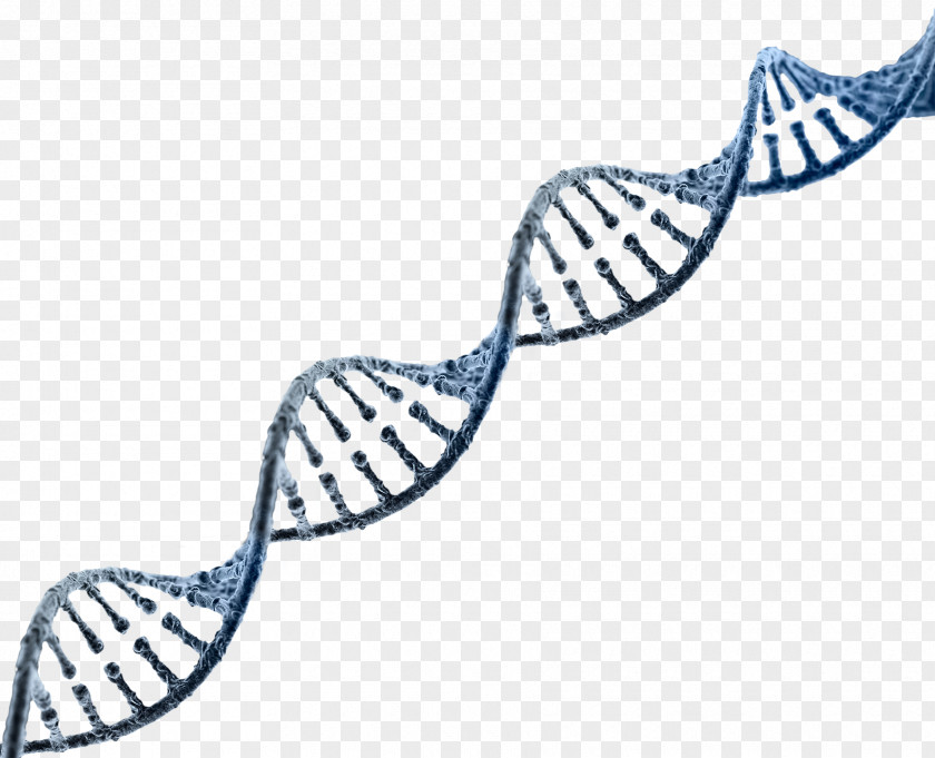 E-Cigarettes DNA Nucleic Acid Double Helix Genetics RNA Genome PNG