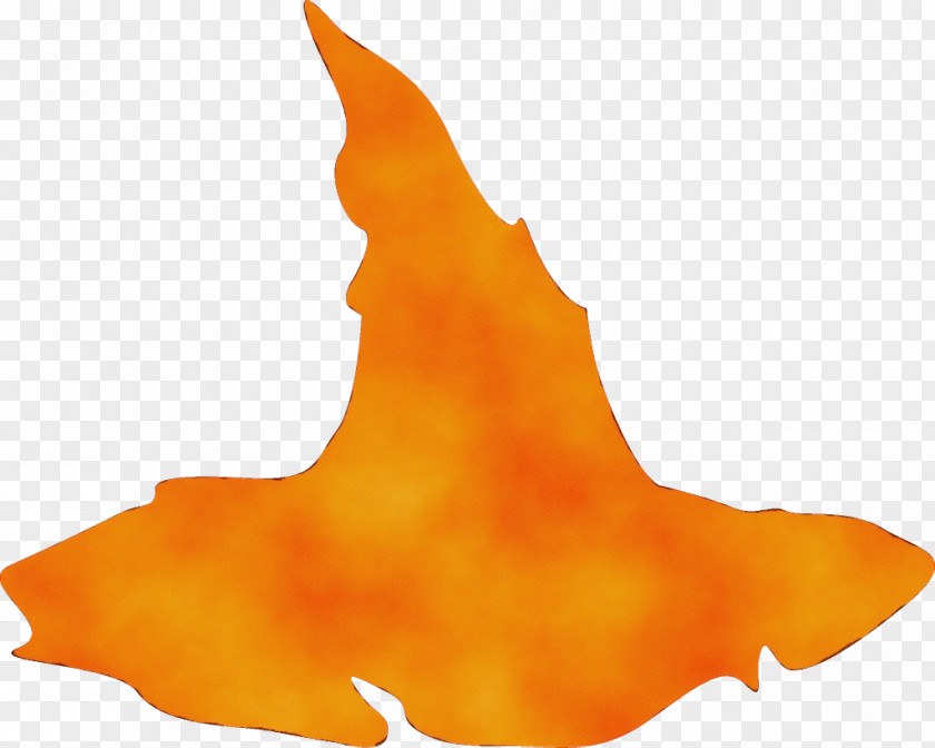 Flame Orange PNG