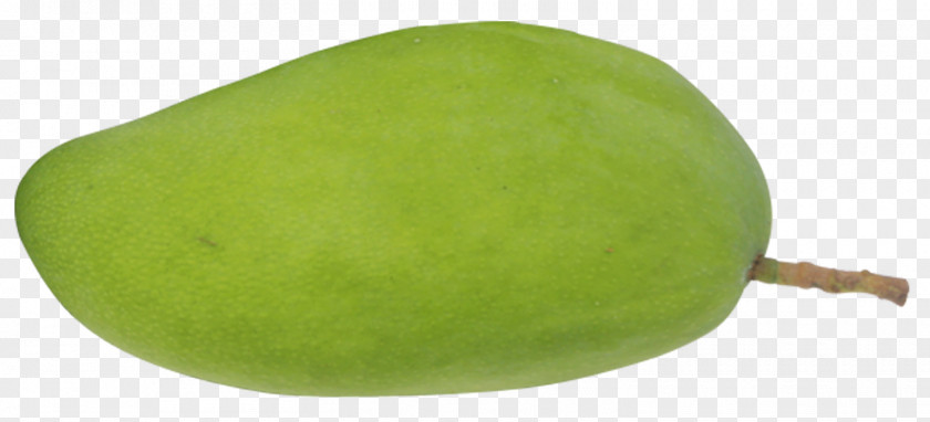 Sentimental Mango Fruit PNG