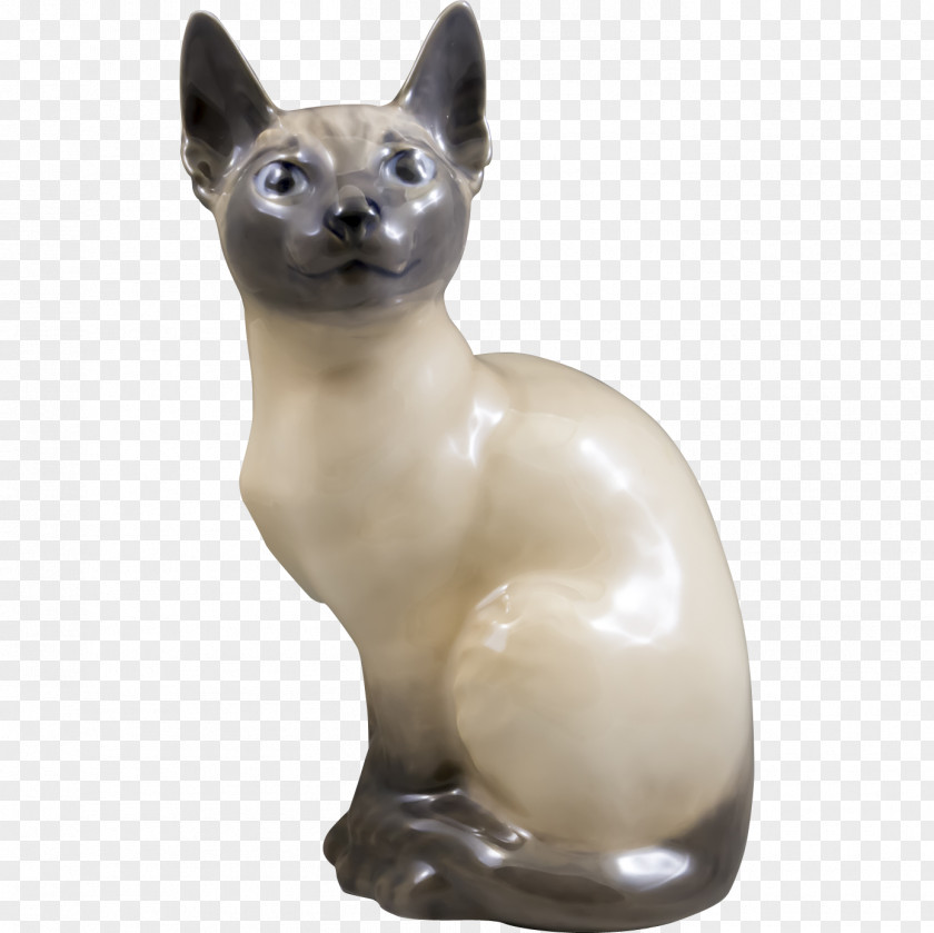Siamese Cat Balinese Tonkinese Domestic Short-haired Whiskers PNG