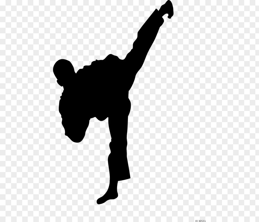 Taekwondo Kids Karate Martial Arts Kick Moo Duk Kwan PNG
