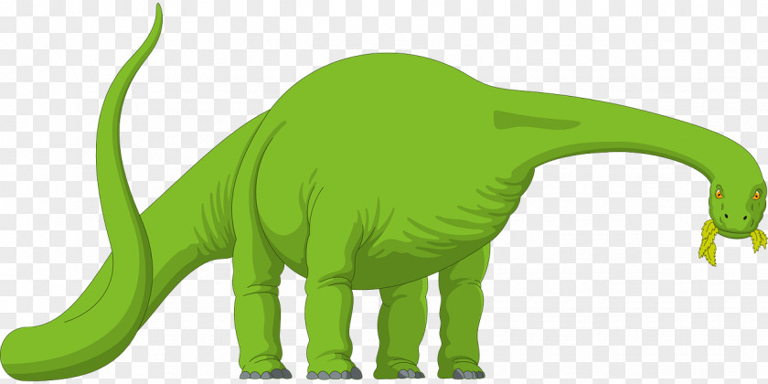 Brachiosaurus Diplodocus Apatosaurus Camarasaurus Brontosaurus PNG
