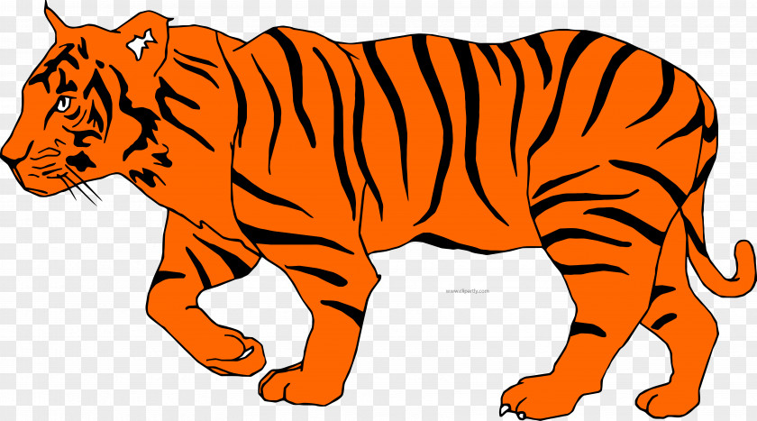Cat Bengal Tiger Clip Art Openclipart Geography Clipart PNG