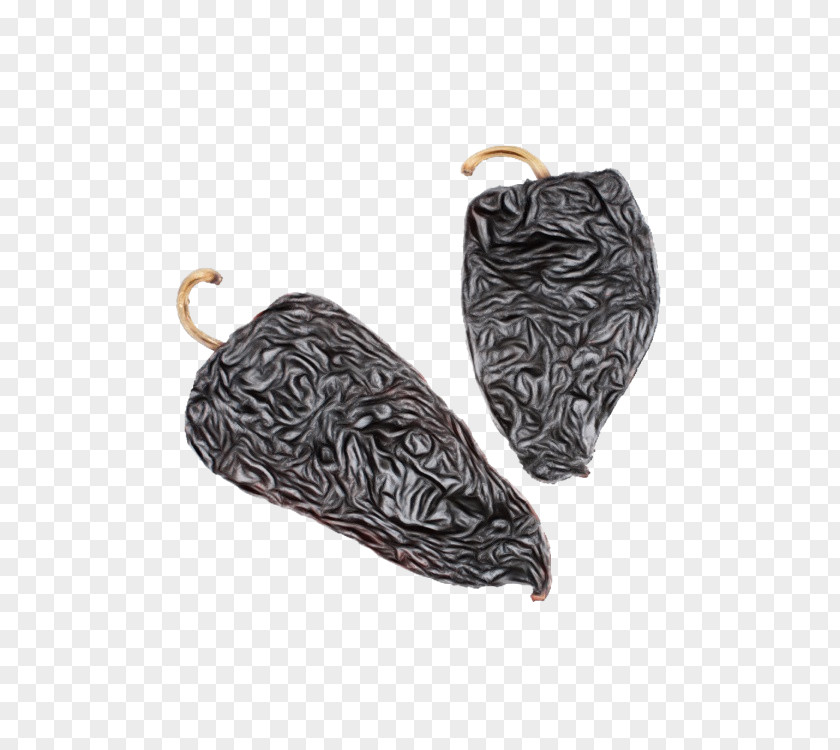 Jewellery Plant Earrings Footwear Leaf Fashion Accessory Metal PNG