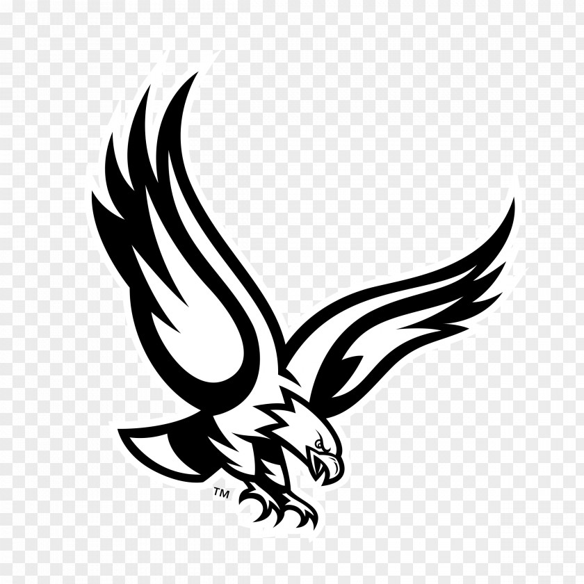Philadelphia Eagles Bald Eagle PNG
