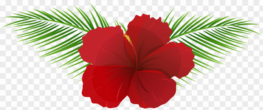 Red Flower Art Clip PNG
