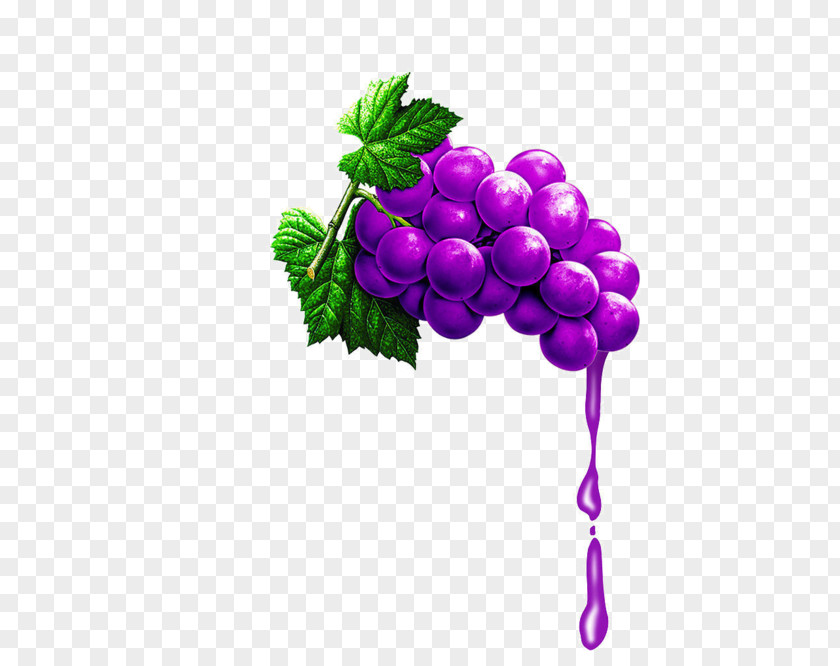 Sweat Purple Grapes Grape Juice PNG
