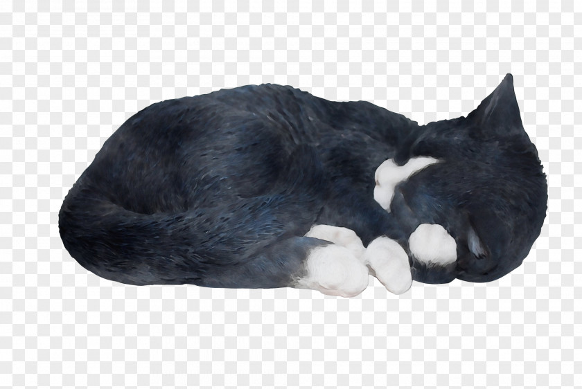 Nap Paw Cat Small To Medium-sized Cats Snout Tail Fur PNG