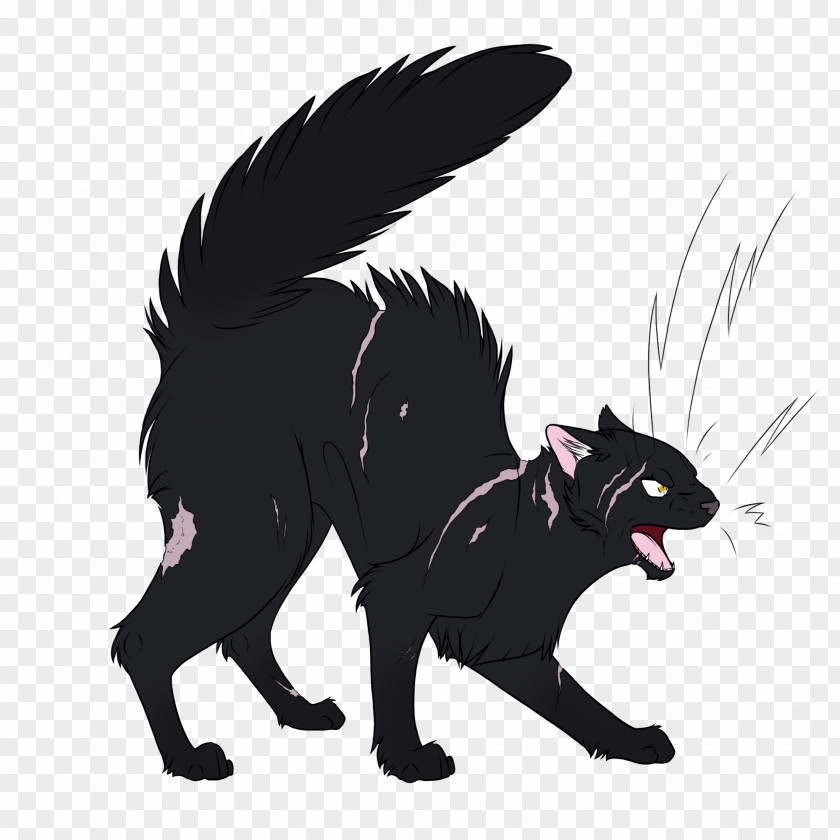 Night Star Cat Warriors Nightstar Crookedstar PNG