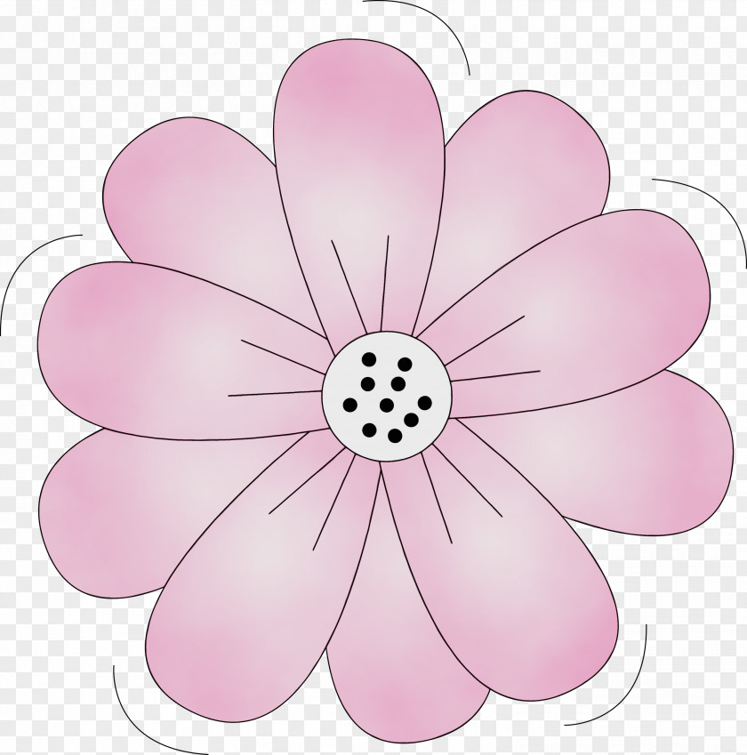 Petal Pink M Flower Plants Science PNG