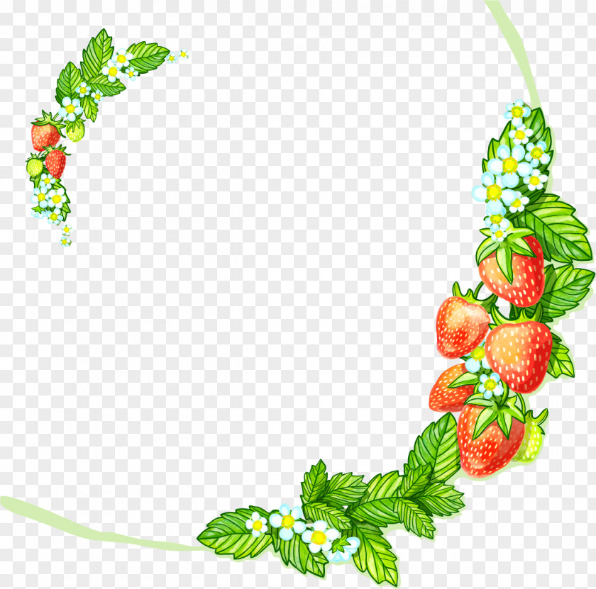 Vector Painted Strawberry Border Aedmaasikas Illustration PNG