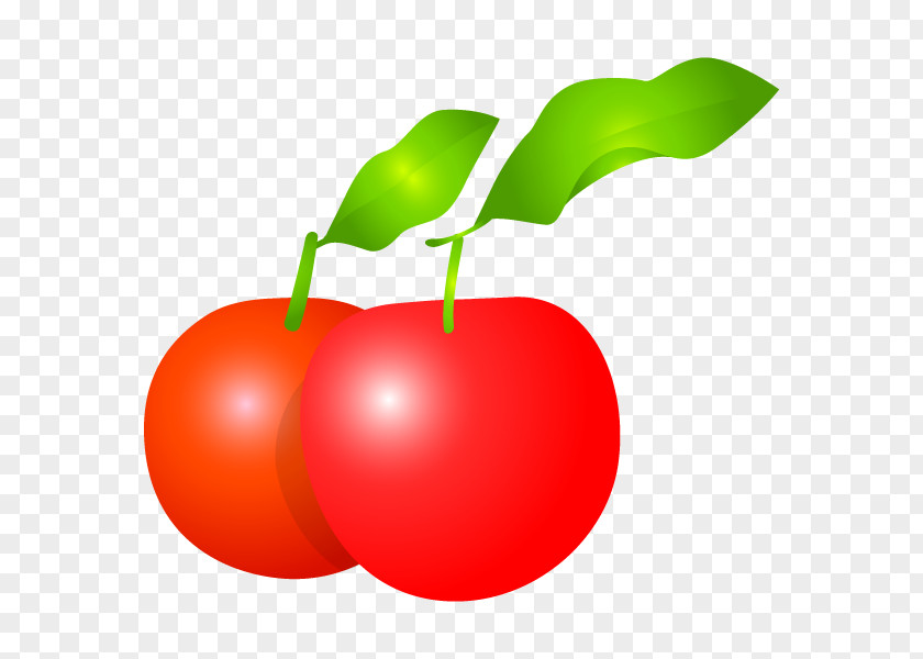 Barbados Cherry Illustration Apple Food Cherries PNG