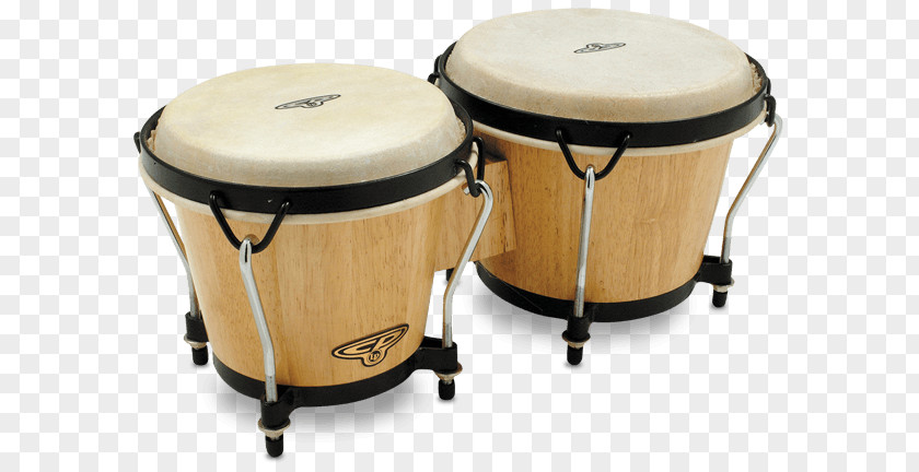 Drum Bongo Latin Percussion Conga PNG