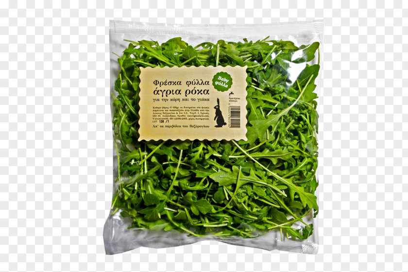 Farm Fresh Salad Leaf Vegetable Arugula Herb PNG