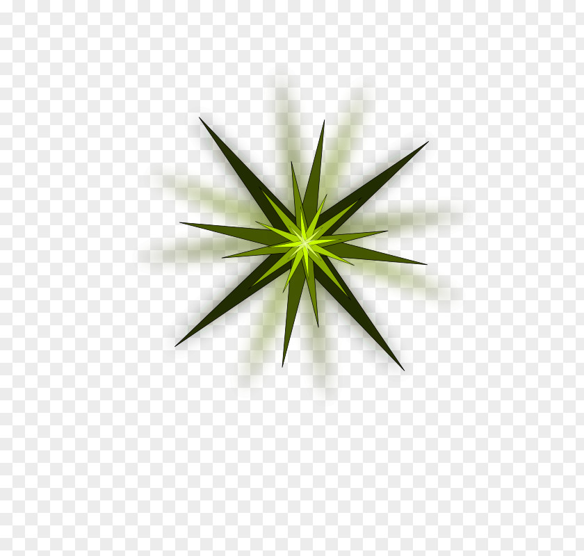 Green Sparkle Star Color Clip Art PNG