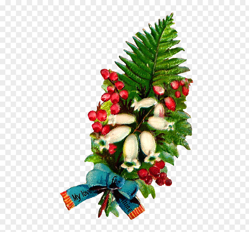 Lily Of The Valley Christmas Decoration Evergreen Flower Ornament PNG