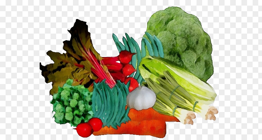 Natural Food Vegetable Superfood Local Garnish PNG