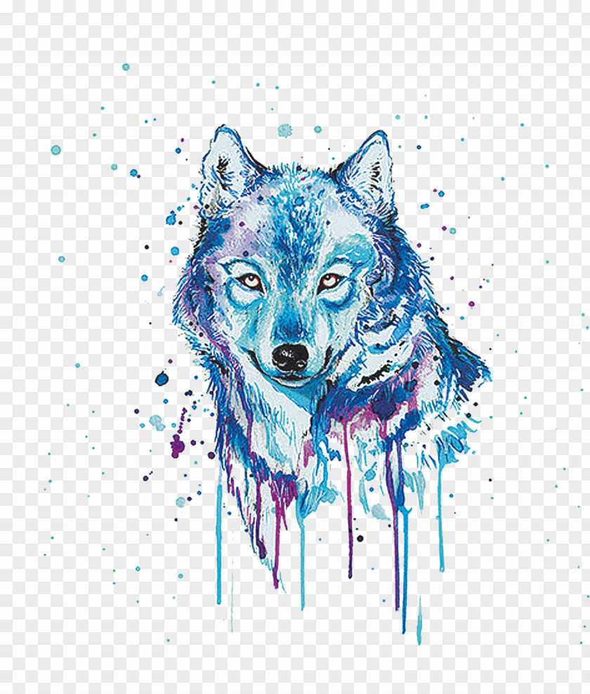 Painted Wolf Gray Watercolor Painting Oil PNG