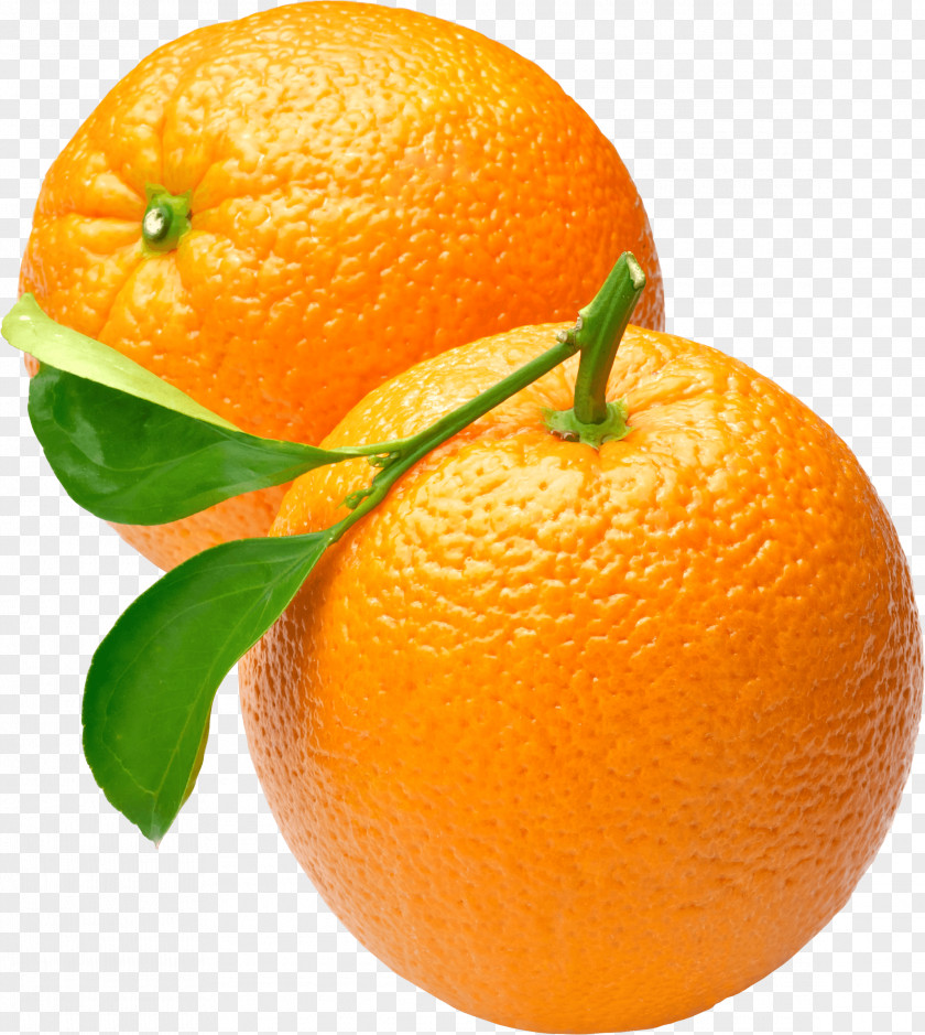 Two Oranges PNG Oranges, two round oranges clipart PNG