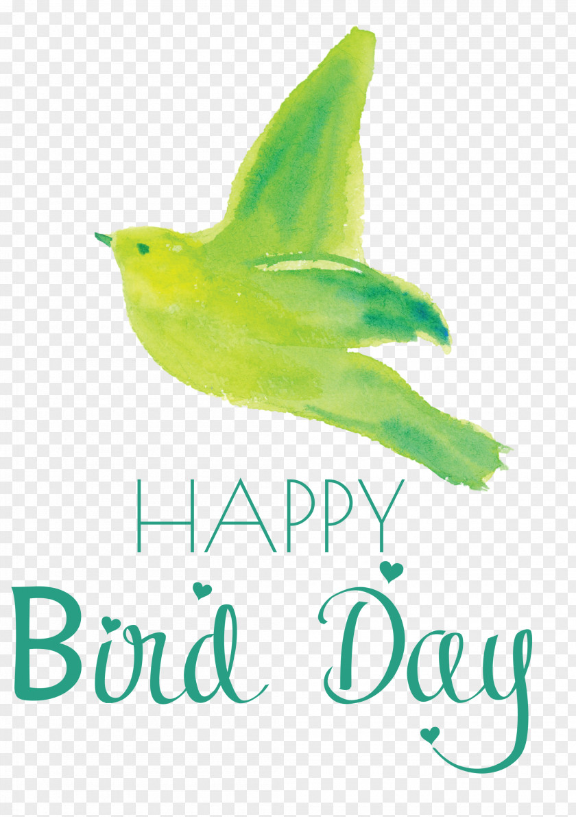 Bird Day Happy International PNG