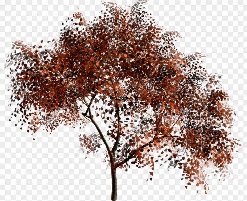 Chinoiserie Tree Forest Material Clip Art PNG