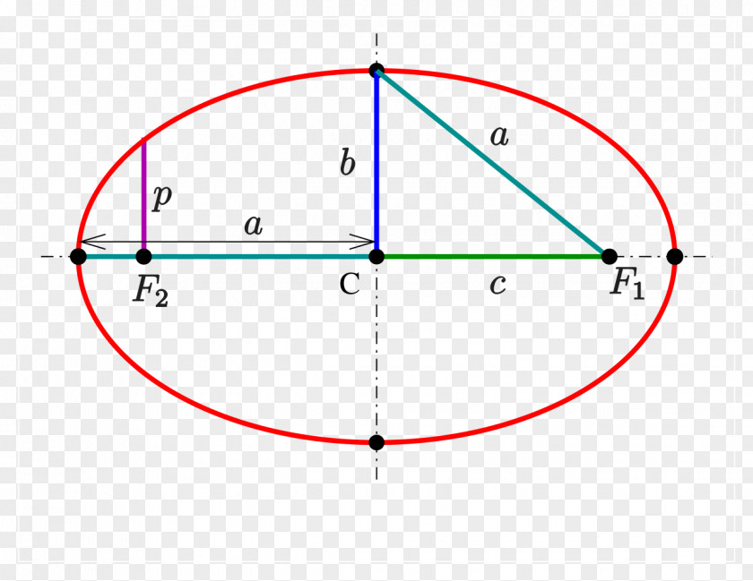 Circle Latus Rectum Ellipse Côté Droit Mathematics PNG