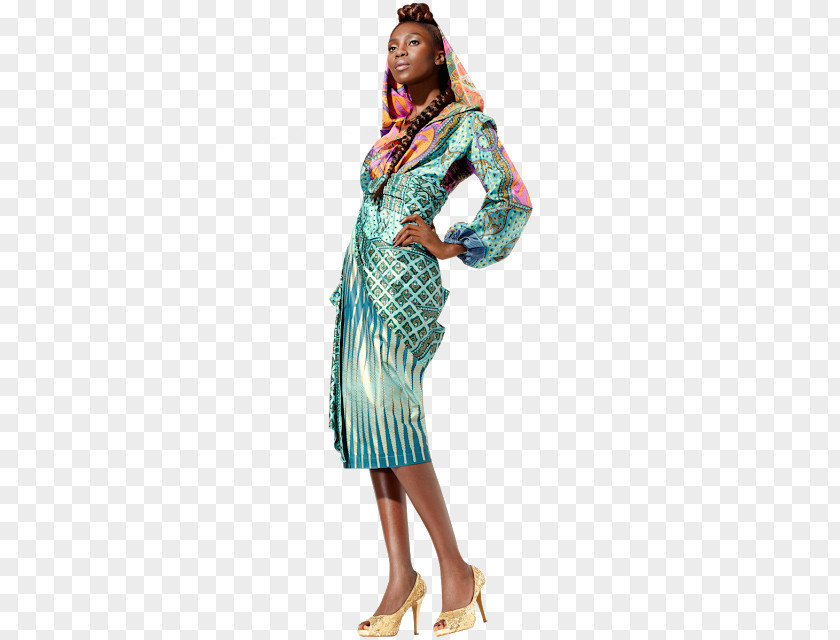 Fashion Stylist Robe Dress Costume PNG