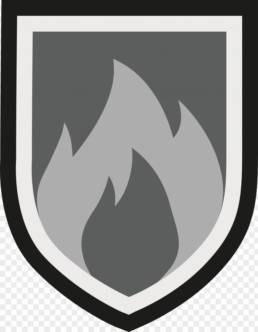 Fire Shield Inflammation Health Icon PNG