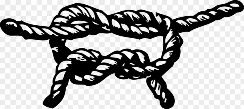 Rope Knot Clip Art PNG