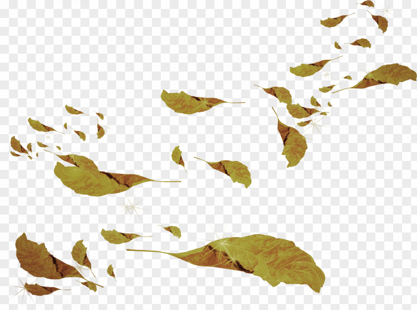 Autumn Leaf Branch Plant Stem Clip Art PNG