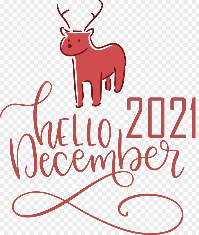 Hello December December Winter PNG