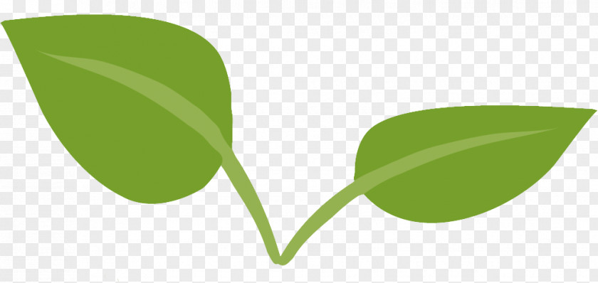 Leaf Sustainability Ecology PNG