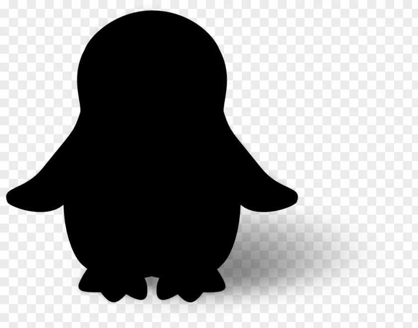 Penguin Bird Image Animal PNG