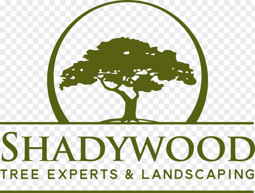Tree Shadywood Experts Inc. Logo Transport PNG