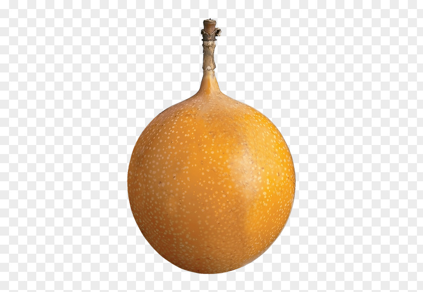 Winter Squash Cucurbita Fruit PNG