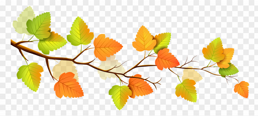 Fall Branch Decor Clipart Autumn Tree Clip Art PNG