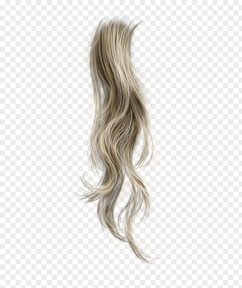 Hair Blond Hair/pelo PNG