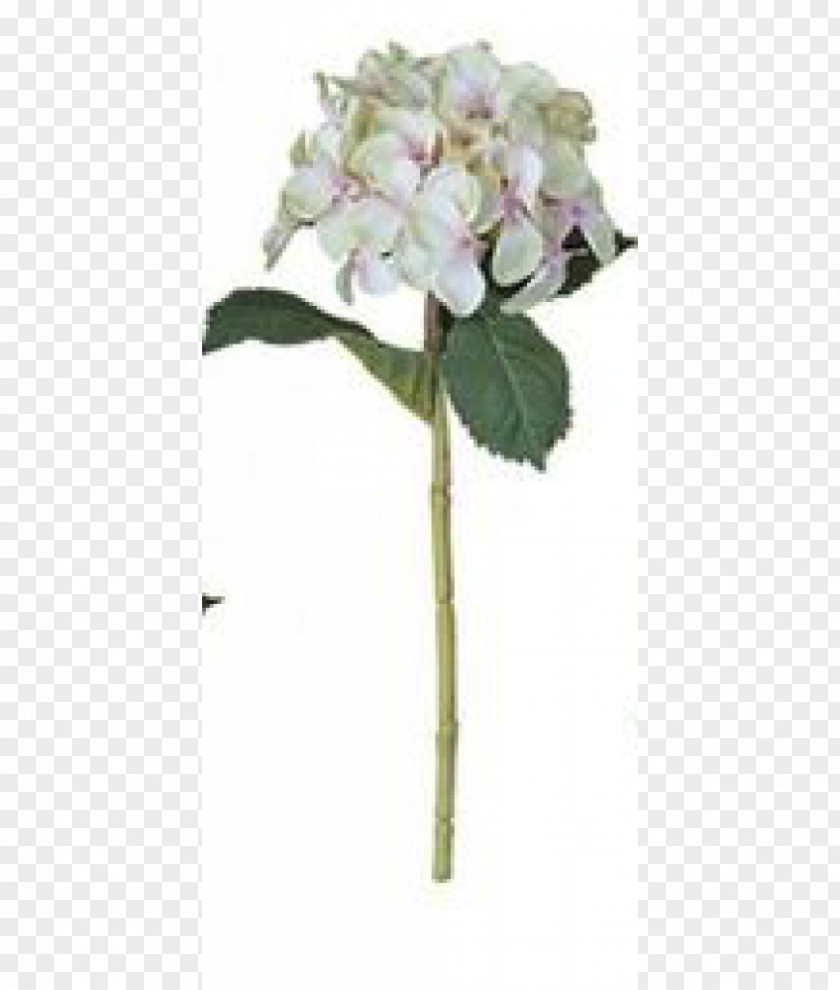 Hydrangea Artificial Flower French Plant Stem PNG