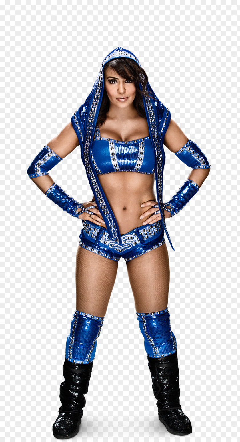 Layla El WWE Diva Search Women In Women's Championship Professional Wrestler PNG in Wrestler, jeff hardy clipart PNG