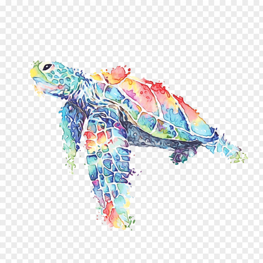 Sea Turtles Tortoise M PNG