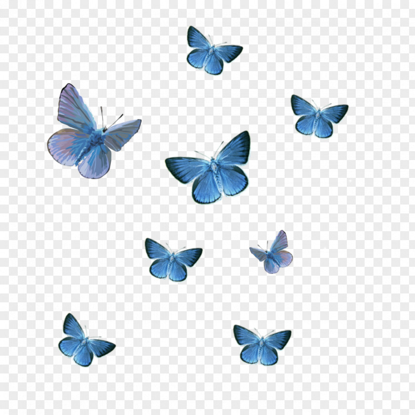 Butterfly Clip Art Wanna One Image PNG