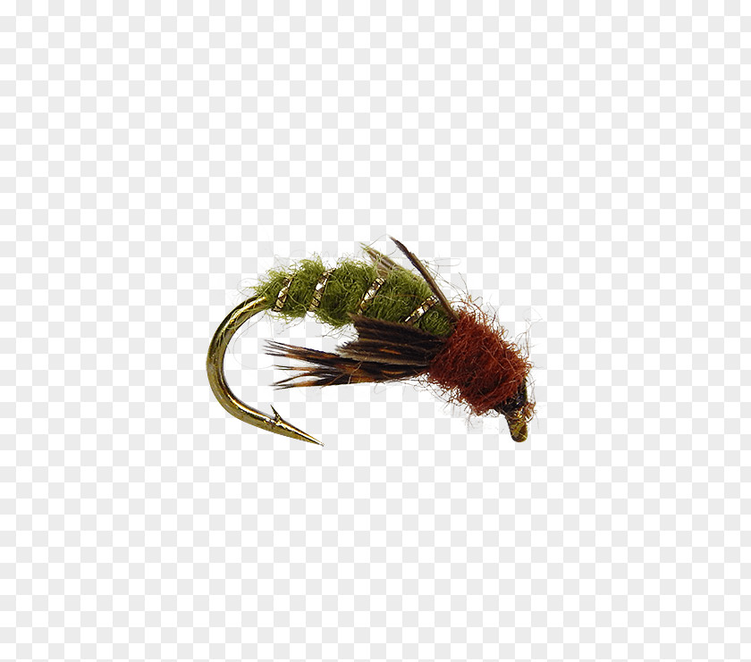 Insect Nymph Artificial Fly Wing Pupa PNG