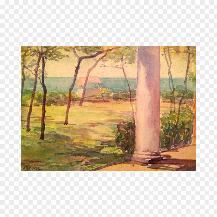 Painting Watercolor Bayou Acrylic Paint PNG